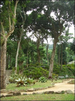 Botanischer Garten, Rio