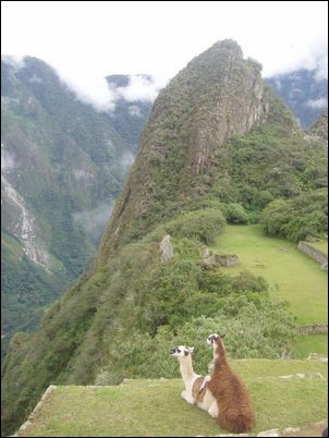 Machu Picchu