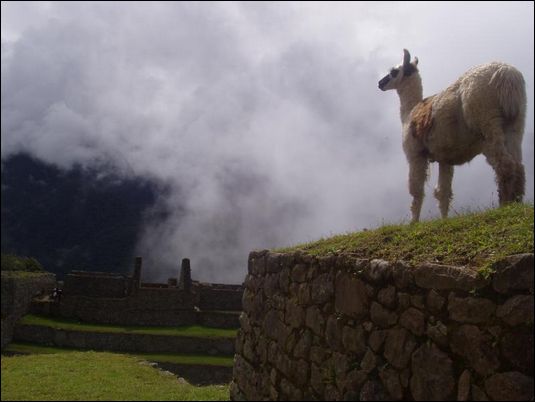Machu Picchu